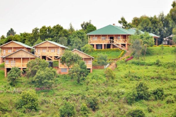 broadbill forest camp