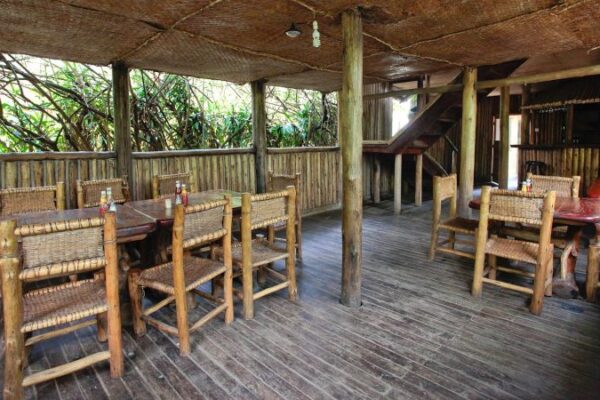 wagtail eco safari camp